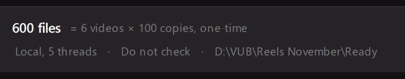 The launch bar before the start: “600 files” in large type, next to it “= 6 videos × 100 copies, one-time” (each part of this summary leads to its own setting), and below a line with “Local, 5 threads,” “Do not check” and the path to the save folder