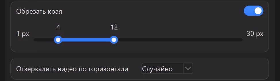 Карточка геометрии в окне программы: переключатель «Обрезать края» включён, под ним ползунок с двумя бегунками на шкале от 1 px до 30 px, то есть от 1 до 30 точек, бегунки стоят на 4 и 12: первая настройка задаётся не числом, а диапазоном; ниже список «Отзеркалить видео по горизонтали» со значением «Случайно» - вторая задаётся списком